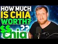 Download Lagu How Much is Chia Worth?! XCH