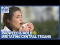 FDA warning leaves Austin allergy sufferers seeking new reliefs