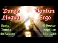 Download Lagu *Pangue Lingua * Tantun Ergo*Santo Tomás de Aquino *Canto Gregoriano*Eucarístico*Latín-Castellano)*