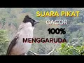 Download Lagu 100% SUARA pikat kutilang GACOR Full menggaruda. Memanggil lawan ampuh buat masteran dan panggilan
