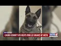 Caddo County K9 helps find 22 grams of meth