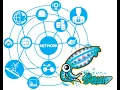How to deploy Opensource Squid Proxy Server