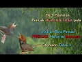 Download Lagu Masteran Prenjak Kepala Merah Khusus Buat Lomba