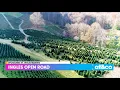 Ingles Open Road Boyd Mountain Christmas Tree Farm