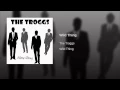 Wild Thing (Re-Recorded)
