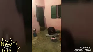 اضحك مع الهواري ستموت بالضحك Laugh With Hawari Will Die With Laughter 