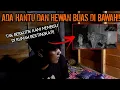 CAMPING HOROR TAK BERKUTIK HANTU DAN HEWAN BUAS DI BAWAH MENGINTAI KAMI!!
