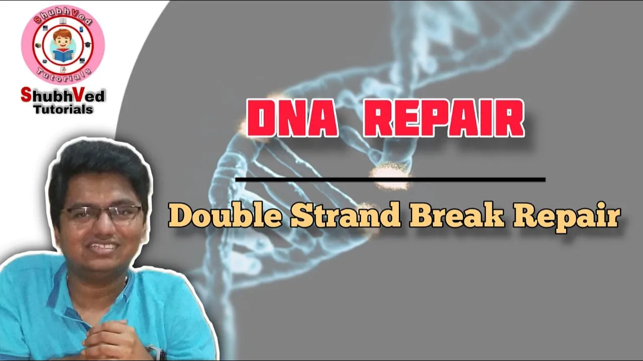 DNA Repair | Double Strand Break Repair | Non Homologous End Joining Repair Pathway
