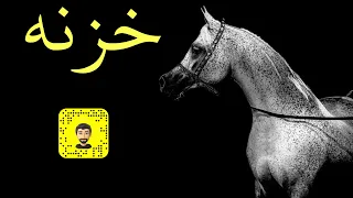 شيلة خزنه سعد محسن حصريا 2024 