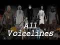 Lagu Dvloper Universe All Voicelines (with subtitles)