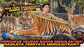 MENGUKUR SEMUA TUBUH SATWA SATWA! ADA YANG PANJANGNYA SAMPE 3 METER?!