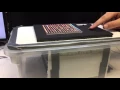 ECE 362 Project The Anticlimactic Maze