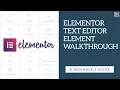 Elementor Text Editor Element