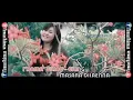 Download Lagu DAMA' MUBATA-BATAI FAJRIAH EKKO LAGU DAERAH MANDAR
