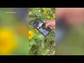 Meet the Montanan making apps to help connect people with the outdoors