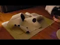 Anybunny in there nope
