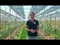 Lagu Solarstrom und Äpfel - die Agri-Photovoltaik-Anlage am Kompetenzzentrum Obstbau Bodensee (KOB)