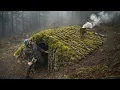 Download Lagu Living Alone in a Moss-Covered Earth Shelter | Mountain Bushcraft Survival MP3