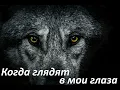 Download Lagu #музыка #когда глядят в мои глаза