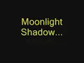 Mike Oldfield - Moonlight shadow
