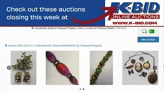 Online Auctions Twin Cities Auctions MN Auctions