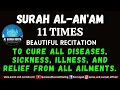 SURAH AL-AN'AM 11 TIMES TO CURE ALL DISEASES, SICKNESS, ILLNESS, AND RELIEF FROM ALL AILMENTS.
