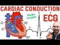 Download Lagu Heart Conduction System \u0026 ECG (EKG)