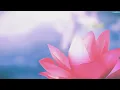 prayer 777 - m.i.a. (slowed + reverbed)
