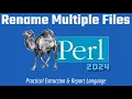 Perl Programming Made Easy How to Rename Multiple Files Quickly Mini Project