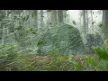 Download Lagu THE WORST RAIN STORM I'VE EVER EXPERIENCED ‼️ CAMPING IN HEAVY RAIN 