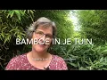Download Lagu ZONDER PROBLEMEN BAMBOE IN JE TUIN