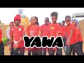 Fireboy DML - YAWA (official dance video)