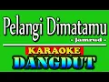 Download Lagu Pelangi Dimatamu Karaoke dangdut