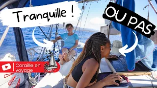 En voilier on se la coule douce ?? !! voilier coraille