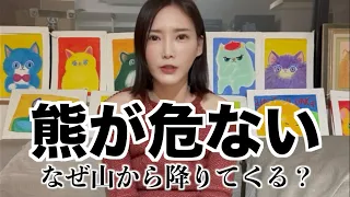 なぜ、熊が人里に降りてくるのか？【木下ゆうか】