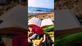 دلع و اتدلع حسين الجسمي حالات واتس حالات حسين الجسمي حب حالات 