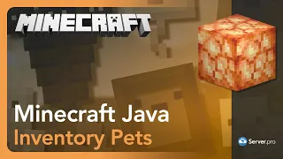 How to Get Inventory Pets in Minecraft without Mods - Minecraft Java