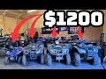 I Bought The Cheapest Hondas I Could Find Was it Worth It