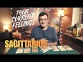 Sagittarius - Their current feelings for you right now