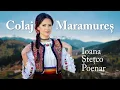 Download Lagu Ioana Stetco Poenar - Colaj Maramures 🎵🎶