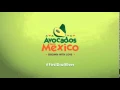 Download Lagu 10 Minutes of Avocados From Mexico Jingle
