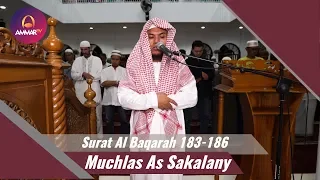 Download IMAM SHOLAT MERDU || Muchlas As Sakalany || Surat Al Baqarah 183 - 186 MP3