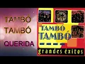 TAMBO TAMBO-QUERIDA (LETRA-LYRICS)