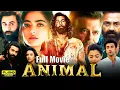 Lagu Animal Full Movie In Hindi | Ranbir Kapoor | Rashmika Mandanna | Sandeep Reddy | HD