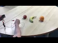 Micro bit teacher tutorial