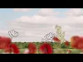 Paul McCartney - The Kiss of Venus (Lyric Video)