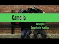 Download Lagu Camelia-Irwansyah|Cover Andre Mastijan (Liriks) #suwandisenlirik #suwandisen #suwandi