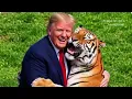 Donald Trump blasted for sharing video of man mauled to death by tiger