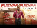 PUSHPA PUSHPA-Pushpa 2 The Rule | Allu Arjun | Rashmika || LOFI