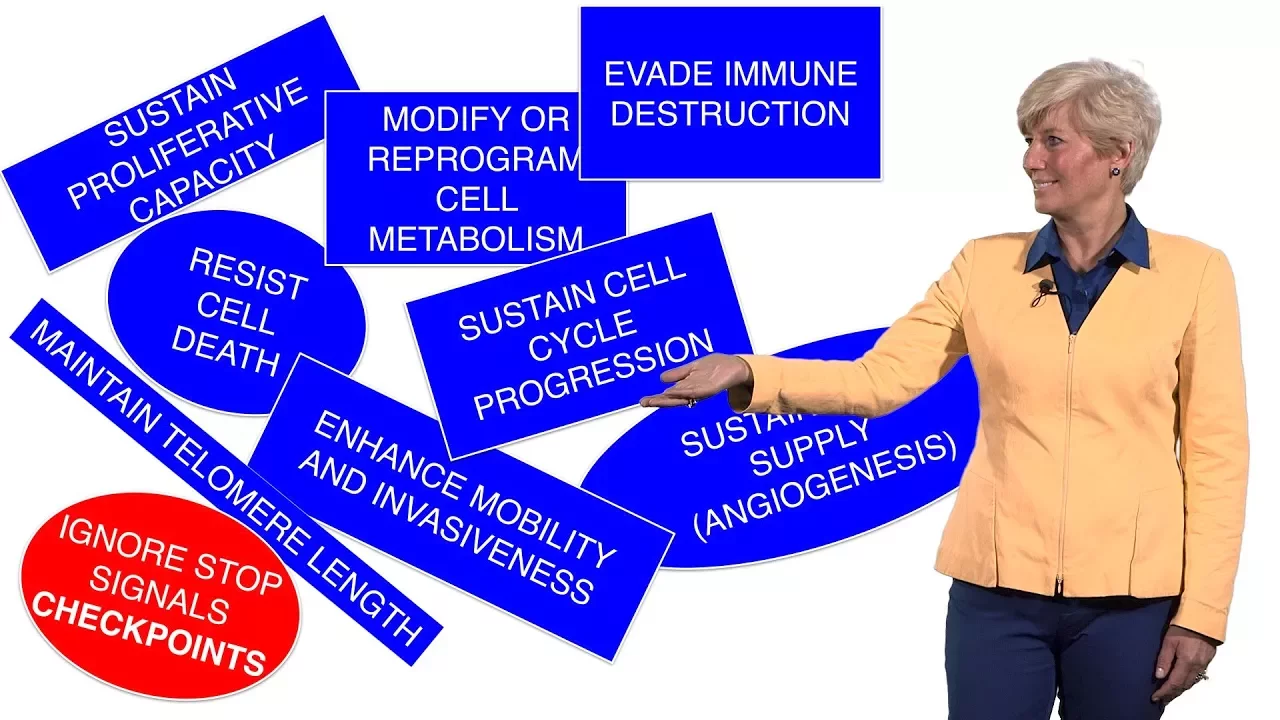 Helen Piwnica-Worms (U. Texas) 2: Translating Cell Cycle Principles to Targeted Cancer Therapies